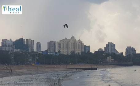 Saifee Hospital, MumbaiCharni Road, Charni Road East, Girgaon, Mumbai