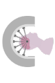 Gamma Knife